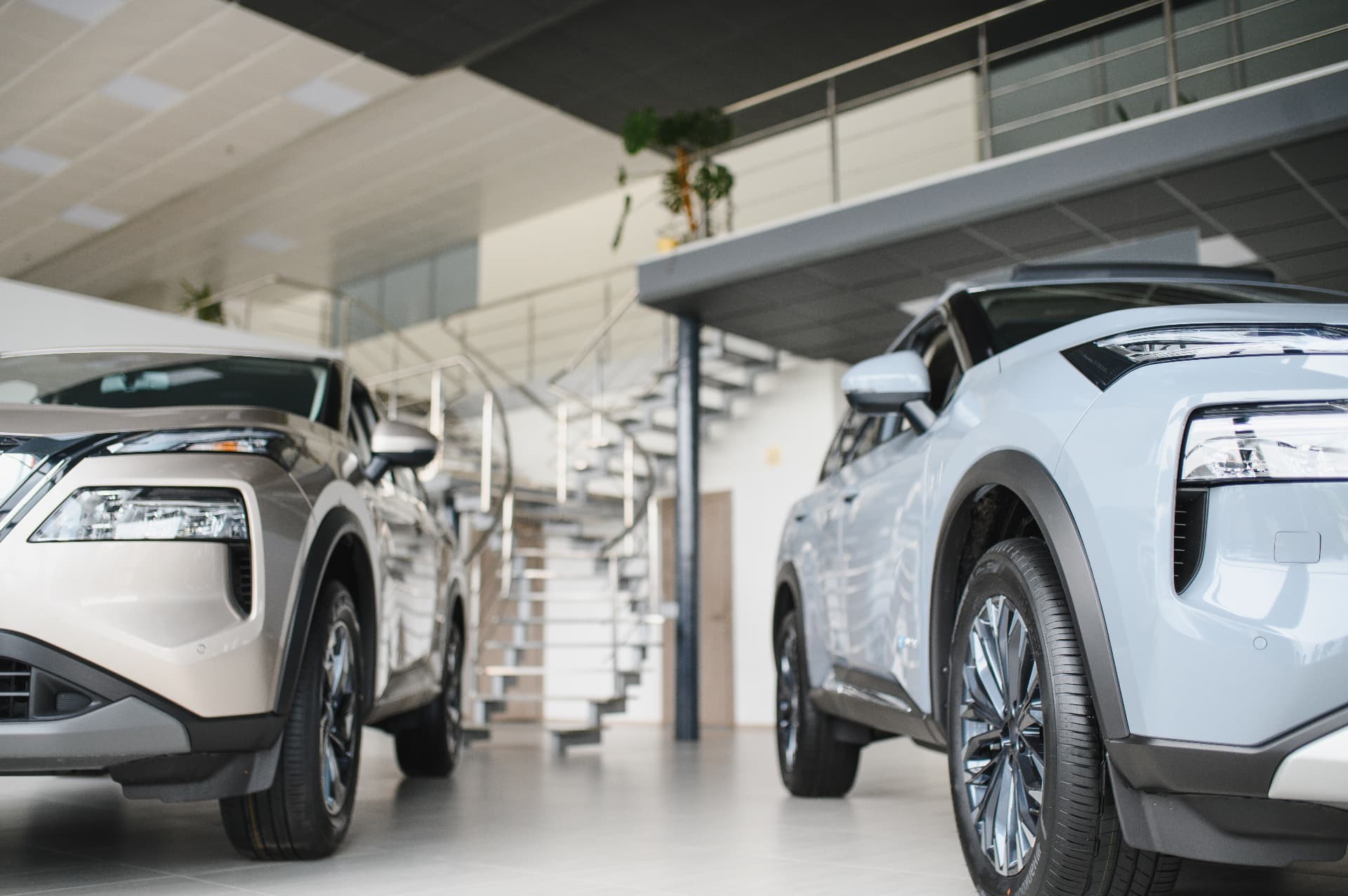 Crossover SUVs arranged in a brightly lit modern dealership showroom